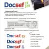 docsef,docsef-of, docsef-cv, docsef-100 daksh pharmaceuticals, daksh pharmaceuticals panchkula, anti-biotic, pcd franchise